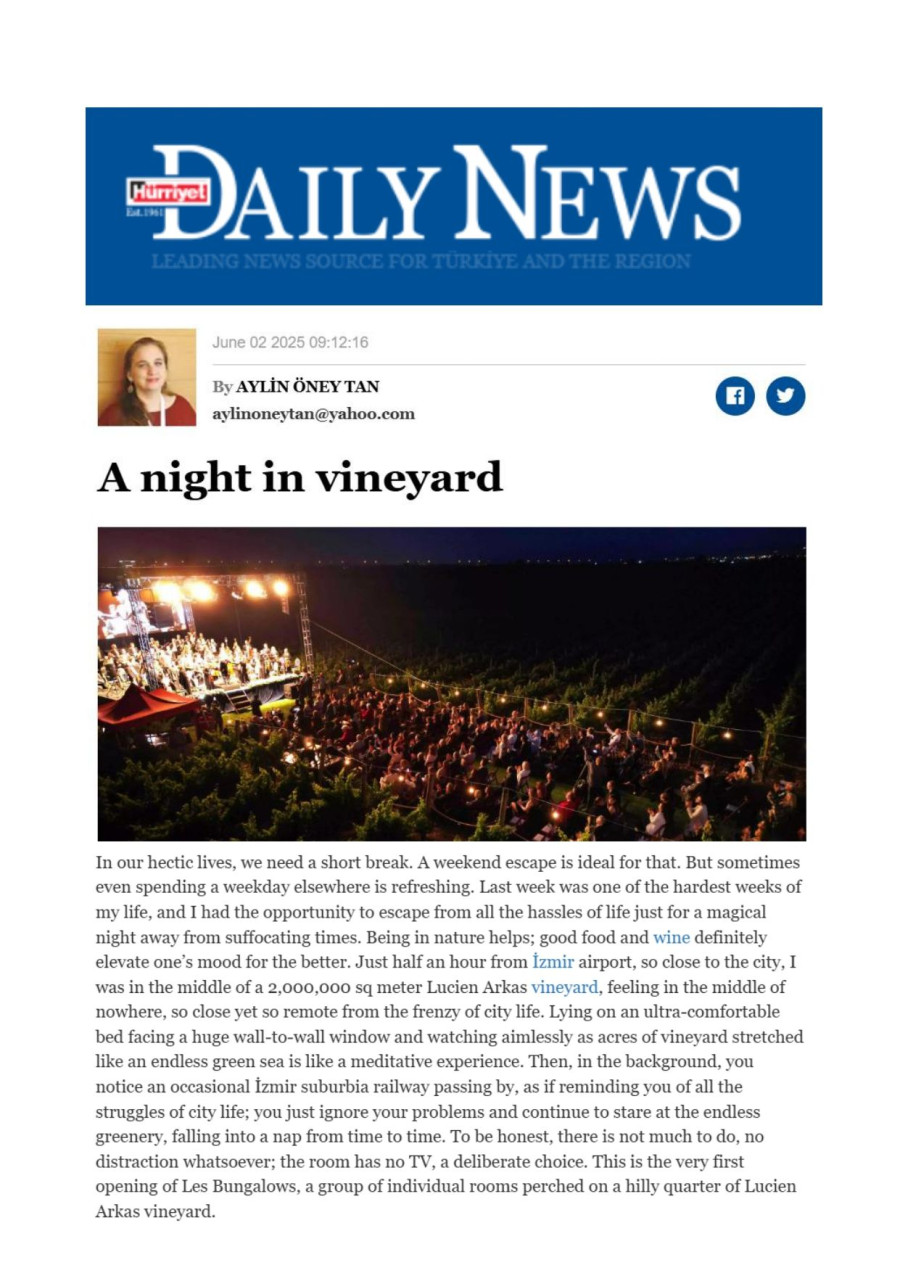 A Night In Vineyard