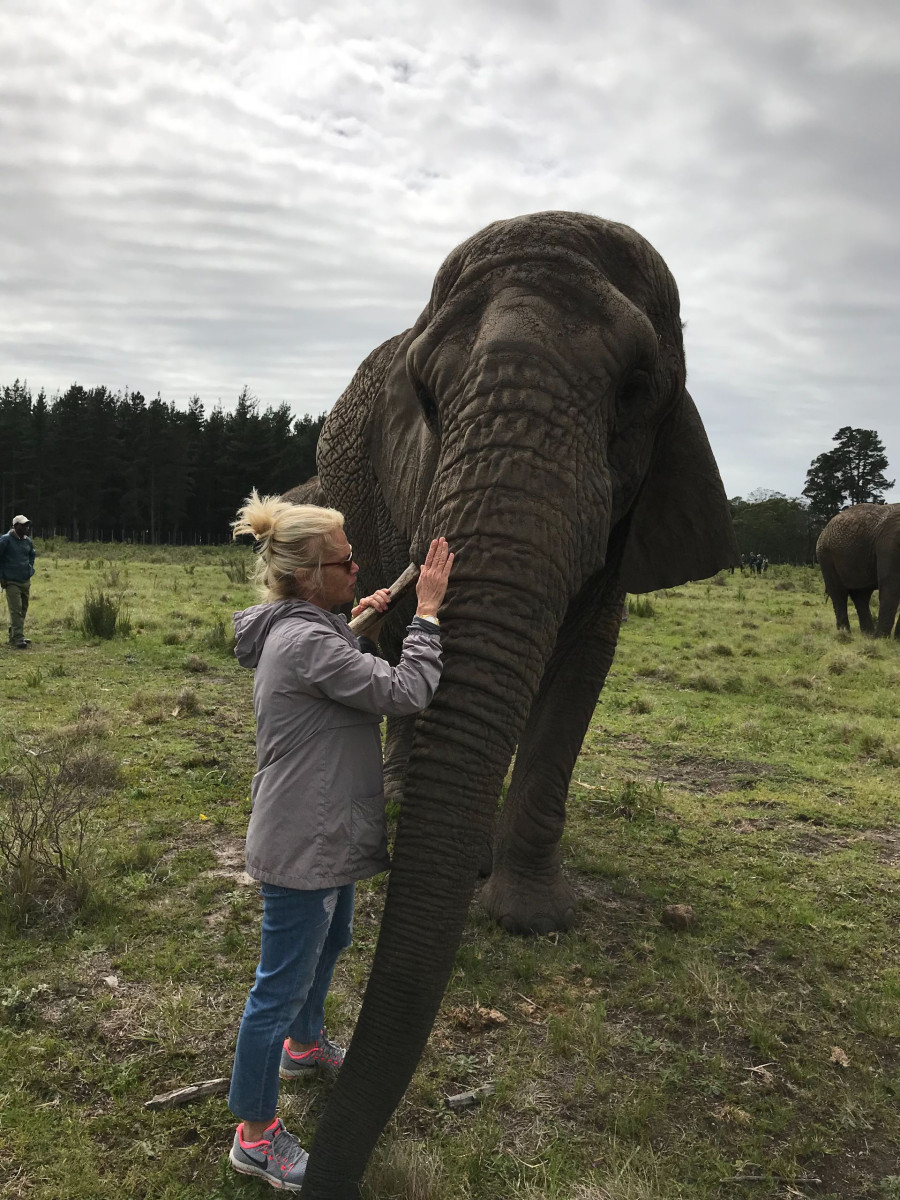Arkas Turizm’de Güney Afrika Turları Başladı