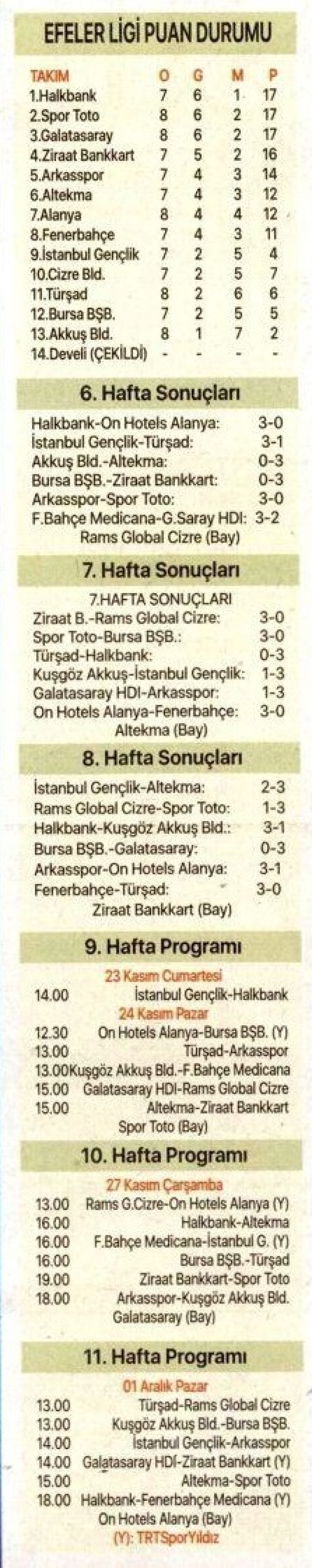 Efeler ligi puan durumu