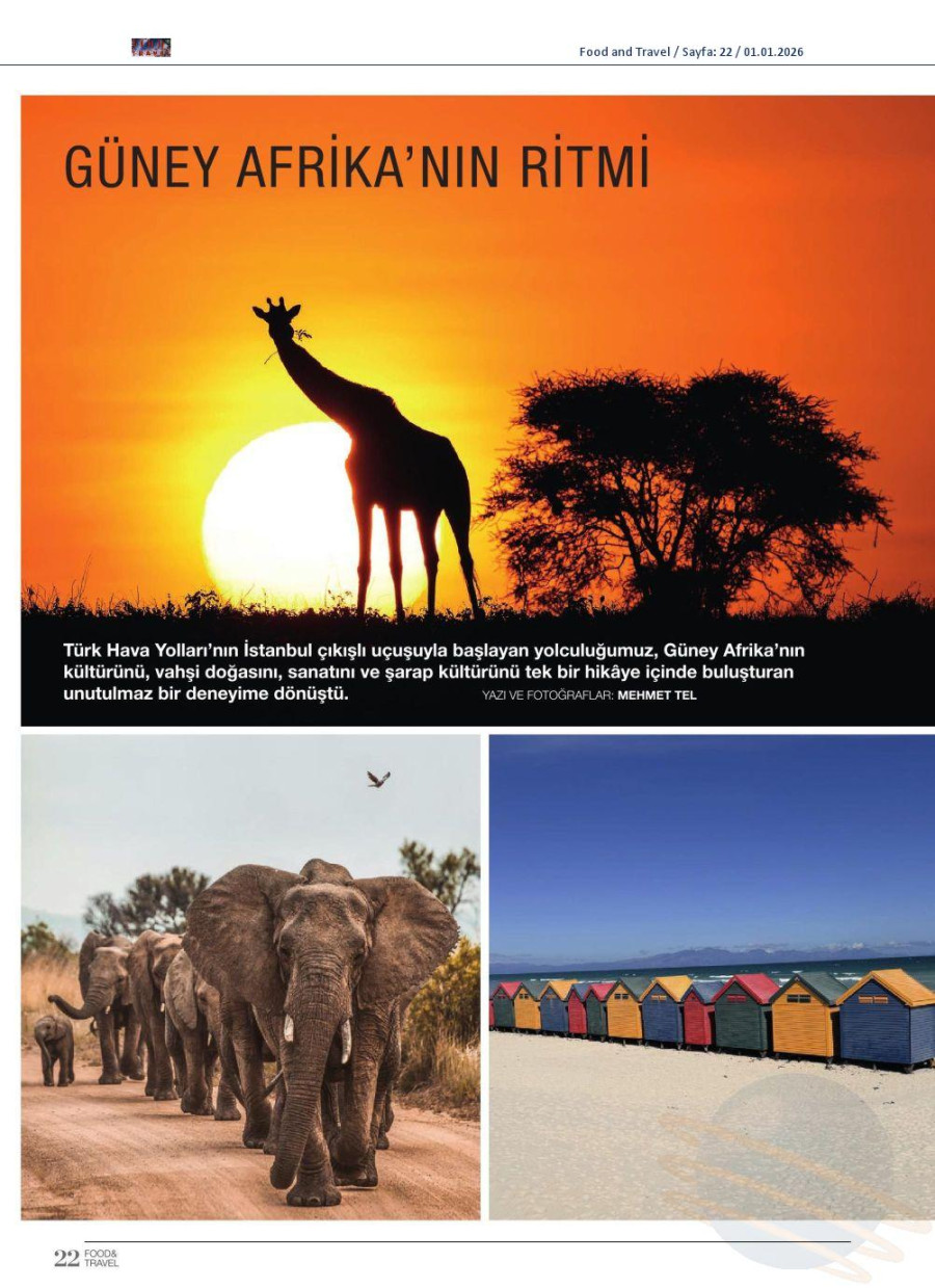 Güney Afrika'nın Ritmi