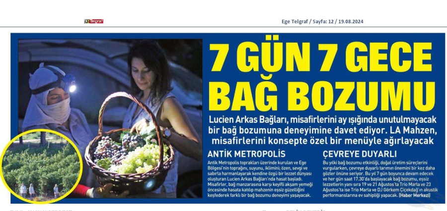 7 gün 7 gece bağ bozumu