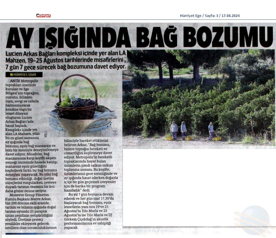 Ay ışığında bağ bozumu