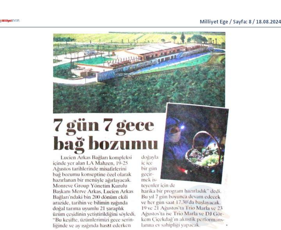 7 gün 7 gece bağ bozumu