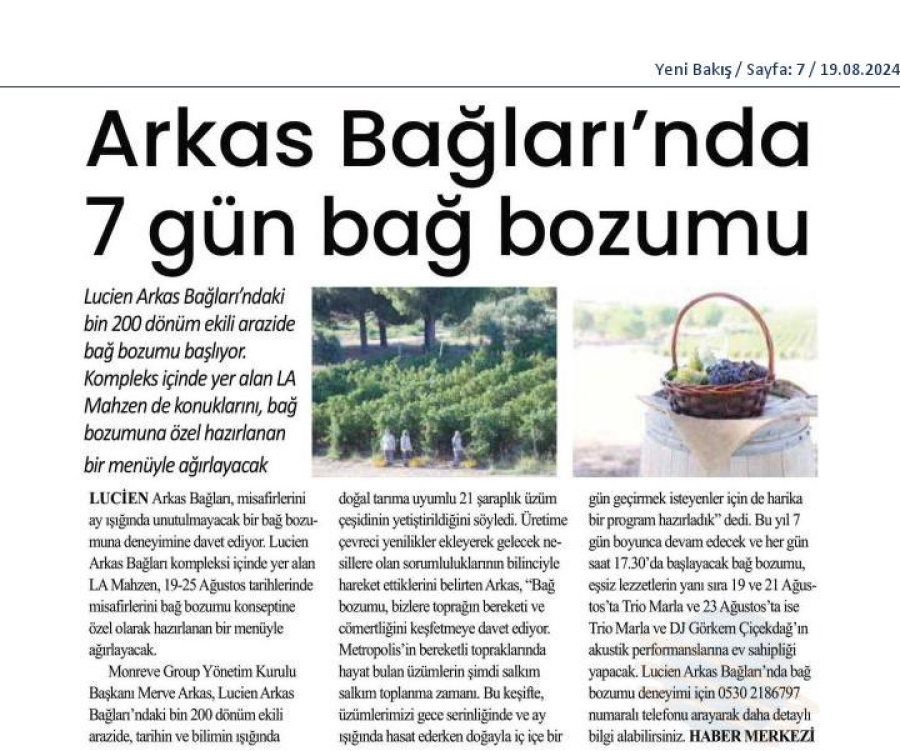 Arkas bağlarında 7 gün bağ bozumu